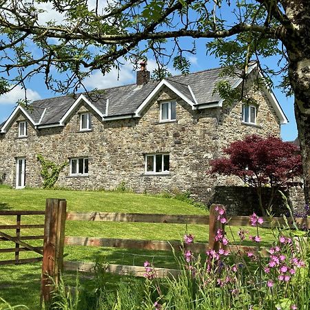 Maesyfelin Isaf B&B Llanybyther Exteriér fotografie