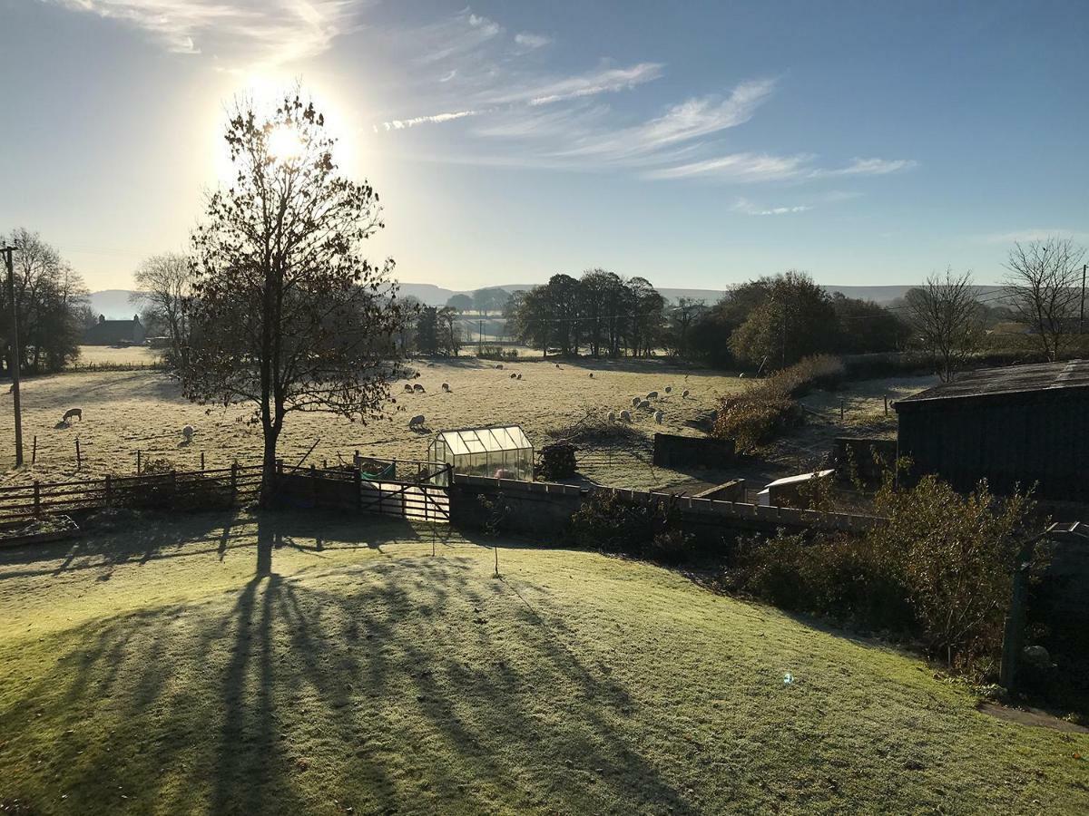 Maesyfelin Isaf B&B Llanybyther Exteriér fotografie