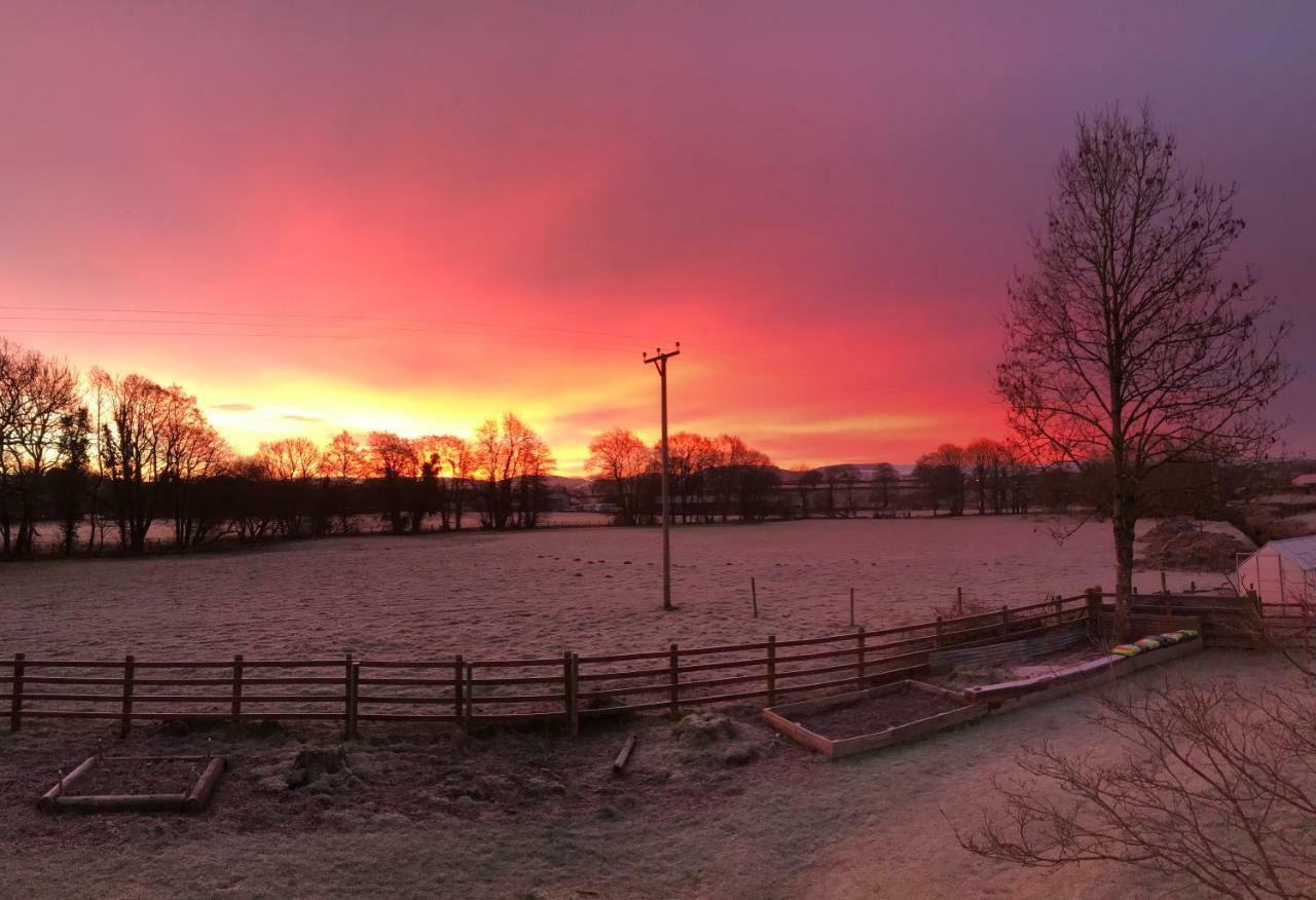 Maesyfelin Isaf B&B Llanybyther Exteriér fotografie