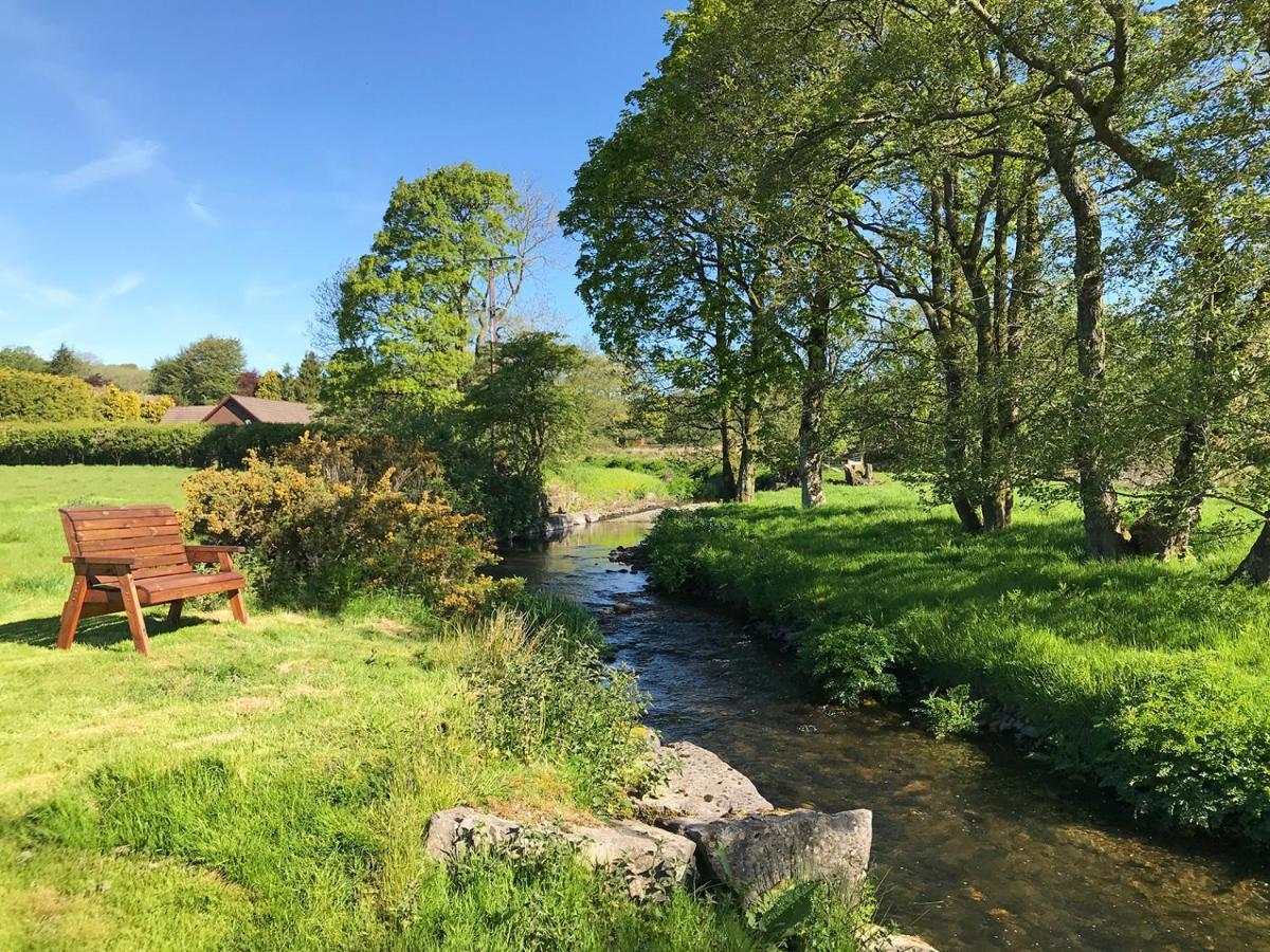 Maesyfelin Isaf B&B Llanybyther Exteriér fotografie